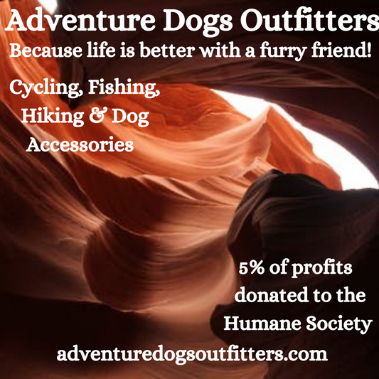 Adventure Dogs Outfitters! Where Are You Going For You Next Winter Adventure?