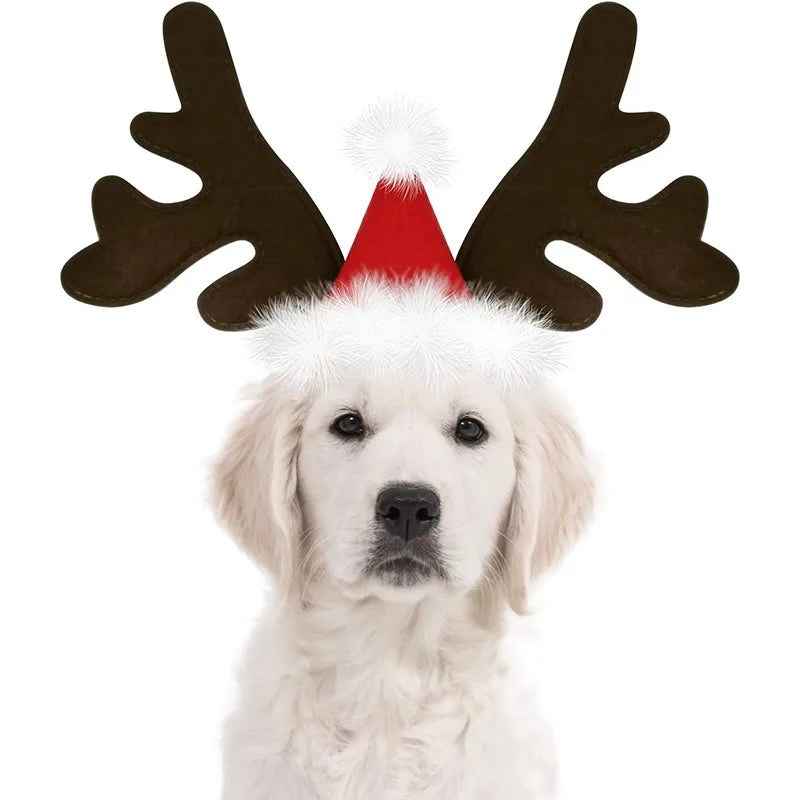 Dog Gear Christmas Reindeer Antlers for Smaller Dogs & Cats